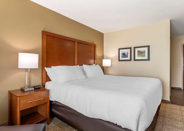Comfort Inn & Suites